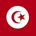 tun_flag120